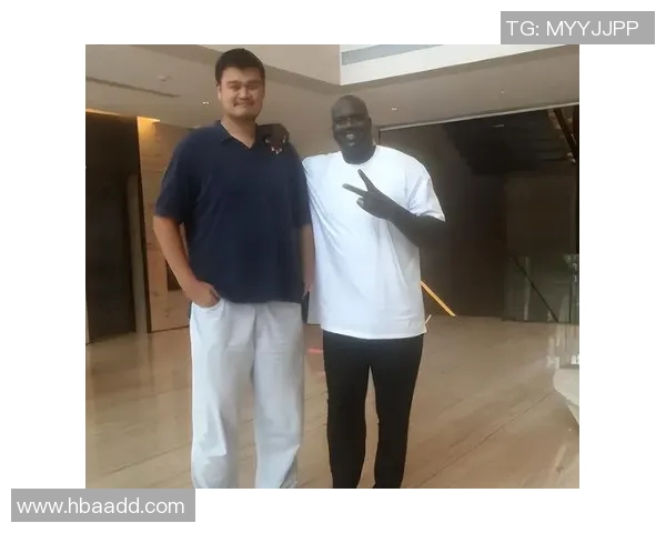 姚明拍苍蝇的背后故事与他对生活细节的独特理解与态度 姚明拍苍蝇的背后故事与他对生活细节的独特理解与态度