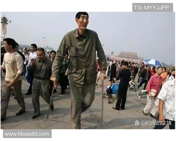 姚明文桃源的传奇故事与篮球梦想交织的美好篇章