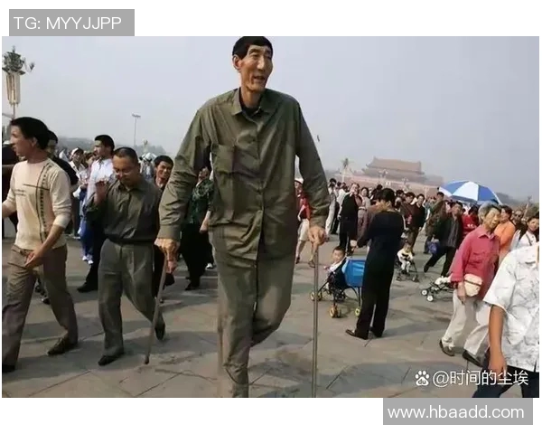 姚明照片儿背后的故事与传奇人生揭秘 姚明照片儿背后的故事与传奇人生揭秘