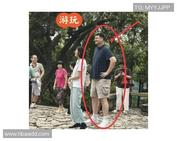 黄磊与姚明的偶遇瞬间揭示了他们背后的故事与人生哲学