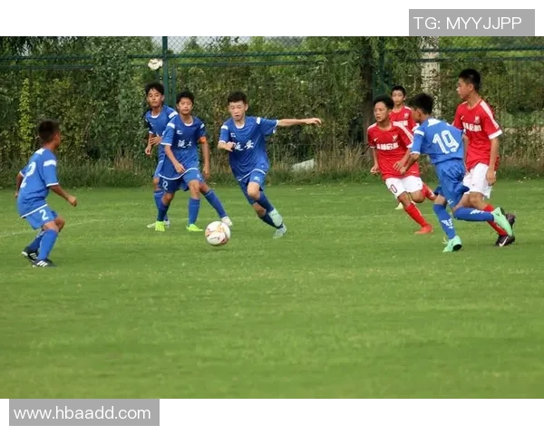 TNT与足球明星的对比分析探讨运动激情与娱乐魅力的不同表现