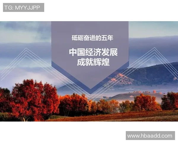 姓庆的足球明星传奇之路与辉煌成就全解析